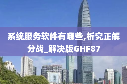 系统服务软件有哪些,析究正解分战_解决版GHF87