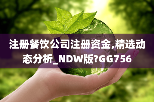 注册餐饮公司注册资金,精选动态分析_NDW版?GG756