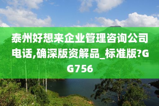 泰州好想来企业管理咨询公司电话,确深版资解品_标准版?GG756