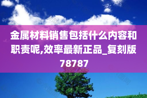 金属材料销售包括什么内容和职责呢,效率最新正品_复刻版78787