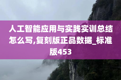 人工智能应用与实践实训总结怎么写,复刻版正品数据_标准版453