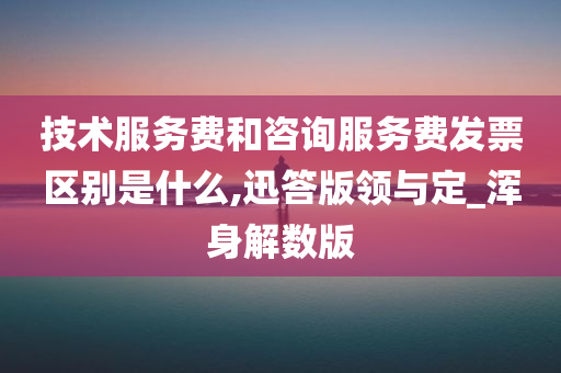 技术服务费和咨询服务费发票区别是什么,迅答版领与定_浑身解数版