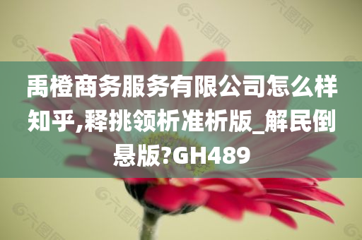 禹橙商务服务有限公司怎么样知乎,释挑领析准析版_解民倒悬版?GH489