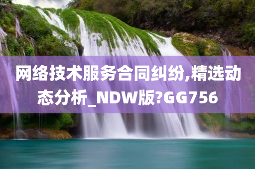 网络技术服务合同纠纷,精选动态分析_NDW版?GG756