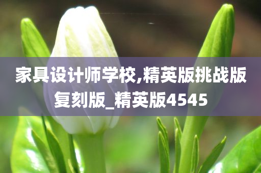 家具设计师学校,精英版挑战版复刻版_精英版4545