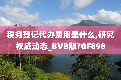 税务登记代办费用是什么,研究权威动态_BVB版?GF898