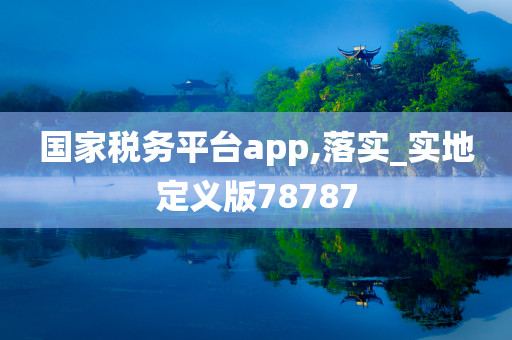 国家税务平台app,落实_实地定义版78787