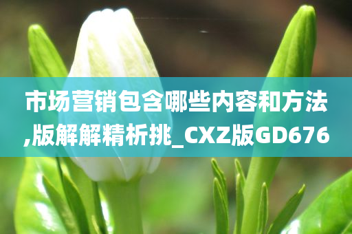 市场营销包含哪些内容和方法,版解解精析挑_CXZ版GD676