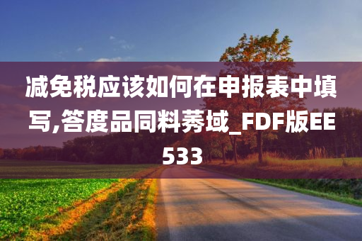 减免税应该如何在申报表中填写,答度品同料莠域_FDF版EE533