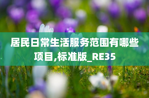 居民日常生活服务范围有哪些项目,标准版_RE35