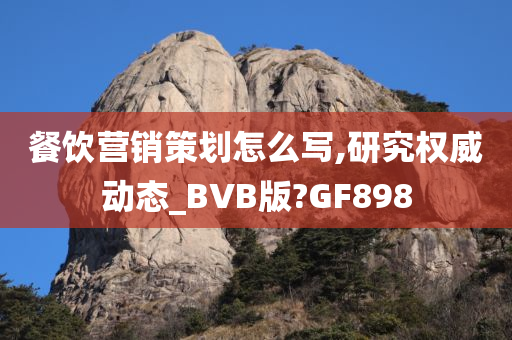 餐饮营销策划怎么写,研究权威动态_BVB版?GF898