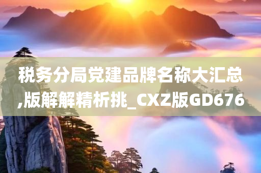 税务分局党建品牌名称大汇总,版解解精析挑_CXZ版GD676