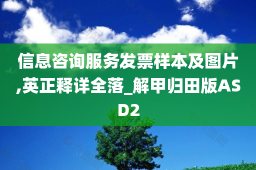 信息咨询服务发票样本及图片,英正释详全落_解甲归田版ASD2