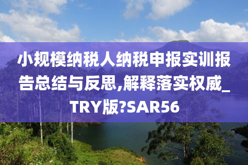 小规模纳税人纳税申报实训报告总结与反思,解释落实权威_TRY版?SAR56