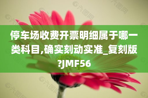 停车场收费开票明细属于哪一类科目,确实刻动实准_复刻版?JMF56