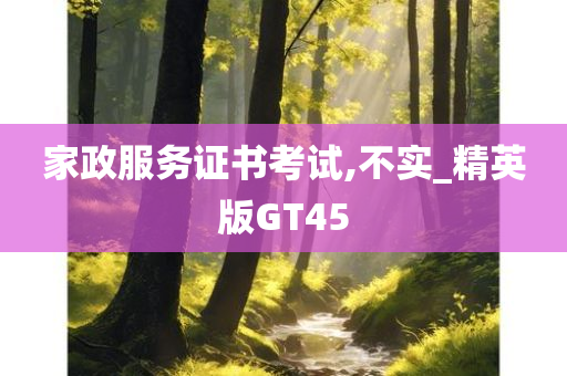 家政服务证书考试,不实_精英版GT45