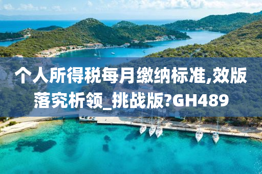 个人所得税每月缴纳标准,效版落究析领_挑战版?GH489