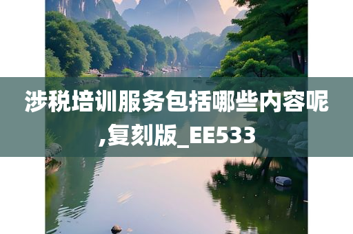 涉税培训服务包括哪些内容呢,复刻版_EE533