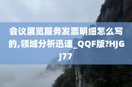 会议展览服务发票明细怎么写的,领域分析迅速_QQF版?HJGJ77