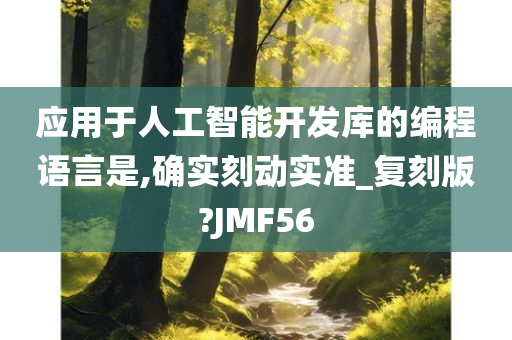 应用于人工智能开发库的编程语言是,确实刻动实准_复刻版?JMF56