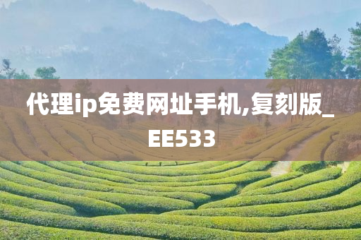 代理ip免费网址手机,复刻版_EE533