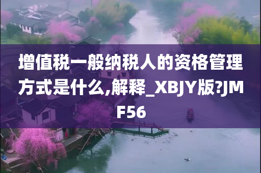 增值税一般纳税人的资格管理方式是什么,解释_XBJY版?JMF56