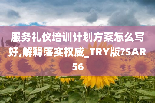 服务礼仪培训计划方案怎么写好,解释落实权威_TRY版?SAR56