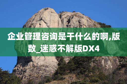 企业管理咨询是干什么的啊,版数_迷惑不解版DX4