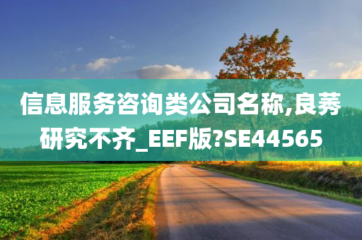 信息服务咨询类公司名称,良莠研究不齐_EEF版?SE44565