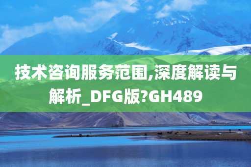 技术咨询服务范围,深度解读与解析_DFG版?GH489