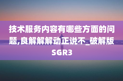 技术服务内容有哪些方面的问题,良解解解动正说不_破解版SGR3