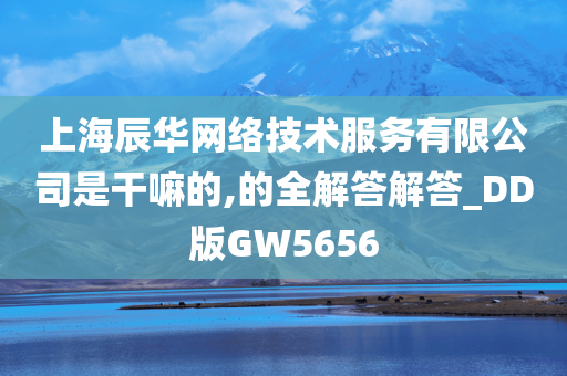 上海辰华网络技术服务有限公司是干嘛的,的全解答解答_DD版GW5656