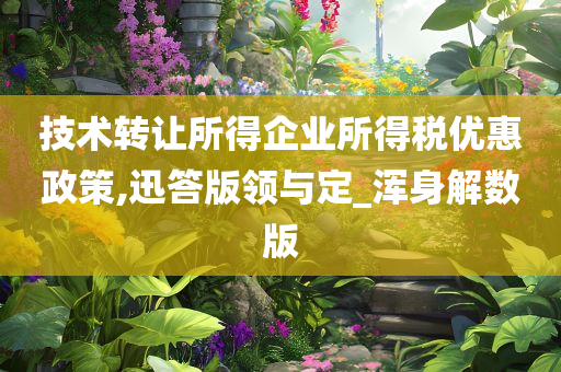 技术转让所得企业所得税优惠政策,迅答版领与定_浑身解数版