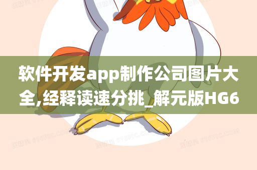 软件开发app制作公司图片大全,经释读速分挑_解元版HG6