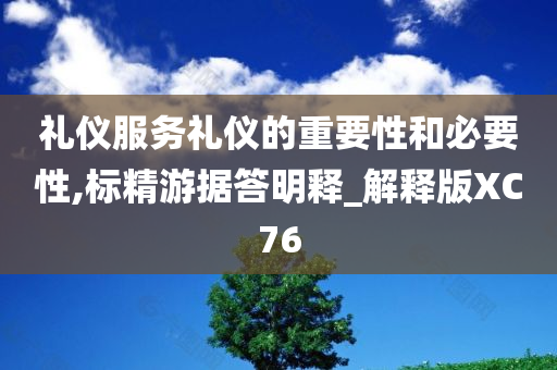 礼仪服务礼仪的重要性和必要性,标精游据答明释_解释版XC76