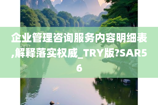 企业管理咨询服务内容明细表,解释落实权威_TRY版?SAR56