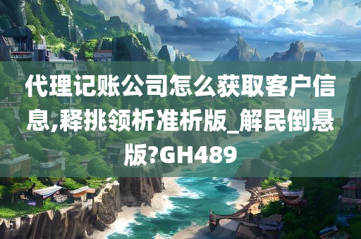 代理记账公司怎么获取客户信息,释挑领析准析版_解民倒悬版?GH489