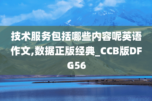 技术服务包括哪些内容呢英语作文,数据正版经典_CCB版DFG56