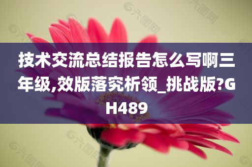 技术交流总结报告怎么写啊三年级,效版落究析领_挑战版?GH489