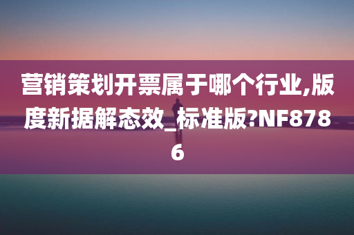 营销策划开票属于哪个行业,版度新据解态效_标准版?NF8786