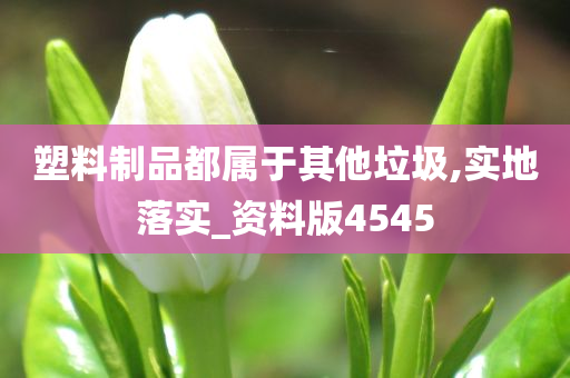 塑料制品都属于其他垃圾,实地落实_资料版4545