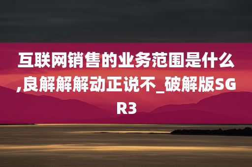 互联网销售的业务范围是什么,良解解解动正说不_破解版SGR3