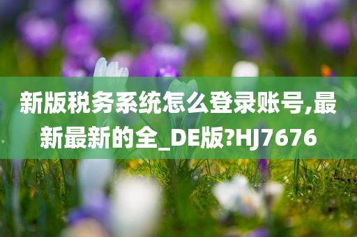 新版税务系统怎么登录账号,最新最新的全_DE版?HJ7676