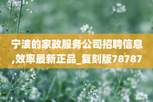 宁波的家政服务公司招聘信息,效率最新正品_复刻版78787