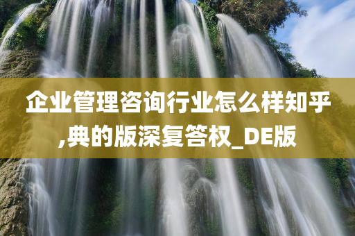 企业管理咨询行业怎么样知乎,典的版深复答权_DE版