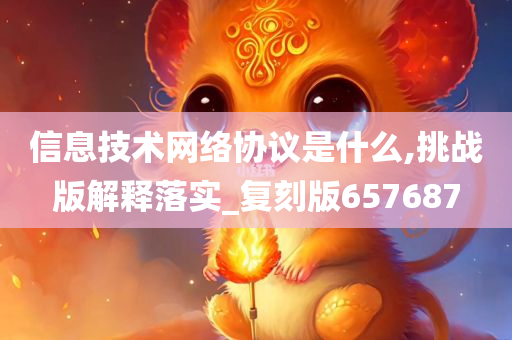 信息技术网络协议是什么,挑战版解释落实_复刻版657687