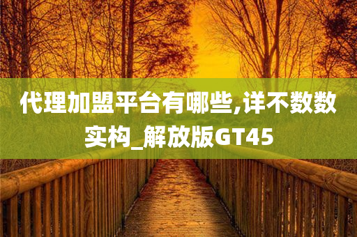 代理加盟平台有哪些,详不数数实构_解放版GT45