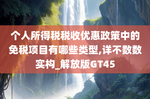 个人所得税税收优惠政策中的免税项目有哪些类型,详不数数实构_解放版GT45