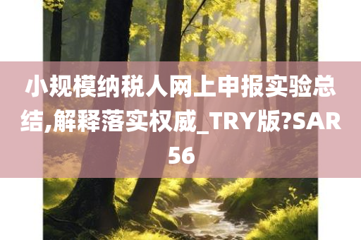 小规模纳税人网上申报实验总结,解释落实权威_TRY版?SAR56