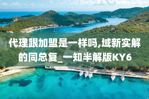 代理跟加盟是一样吗,域新实解的同总复_一知半解版KY6